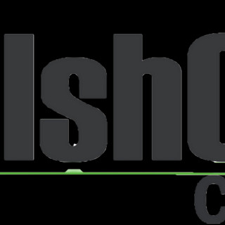 Writer: ElshCap Consult