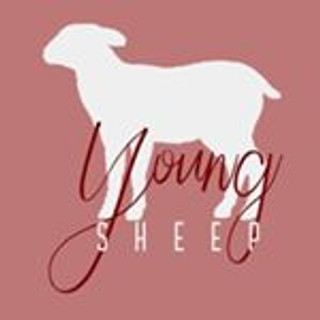 Photo du rédacteur: Young Sheep