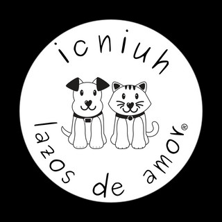 Foto del escritor: icniuh lazos de amor