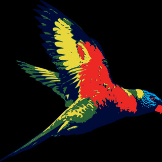 Writer: flyingparrot