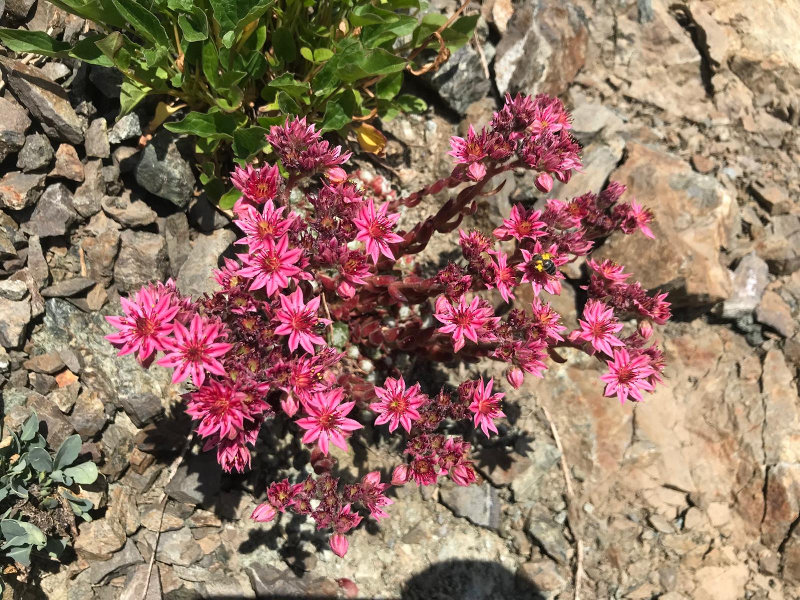Photo du rédacteur: Carine von Krause