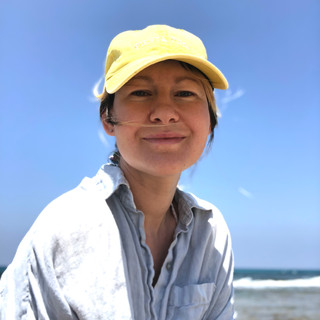 Writer: Alina Vyshkov