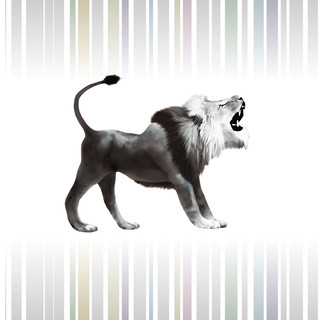 執筆者の写真: A ROAR Inc.