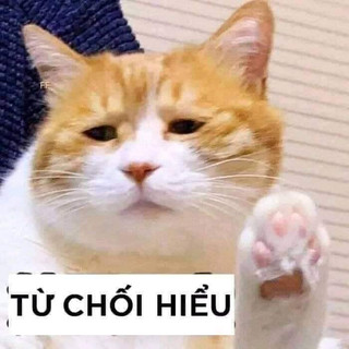 Ảnh của tác giả: Mr Admin