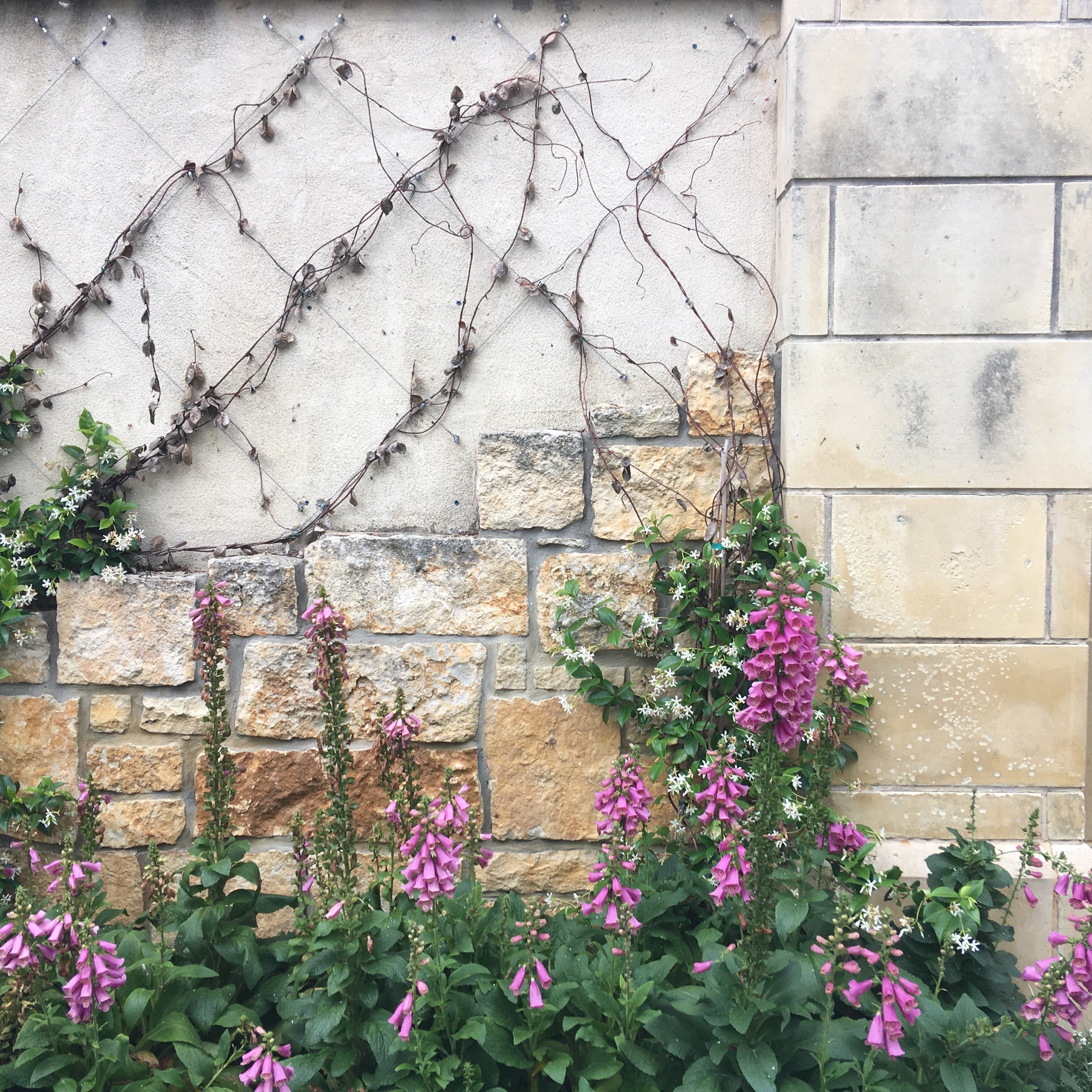 Writer: Keiko Yamada