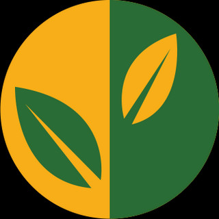 Foto do escritor: Ana Paula dos Santo Carrier