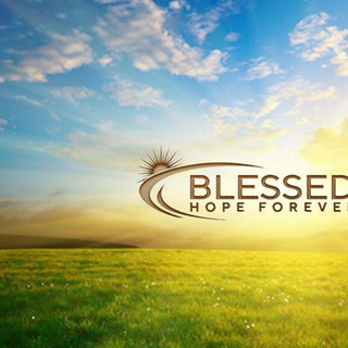 Writer: Steven Sewell