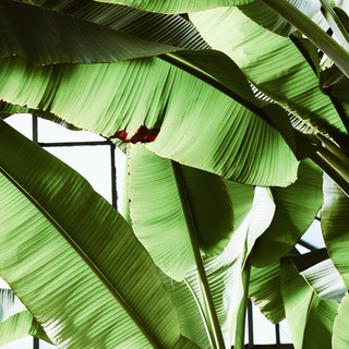 Foto del escritor: carlabijao