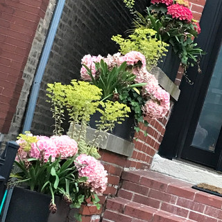 Writer: The Zero Initiative 