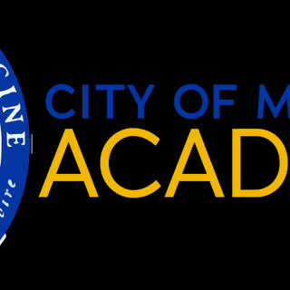 Writer: City of Medicine Academy