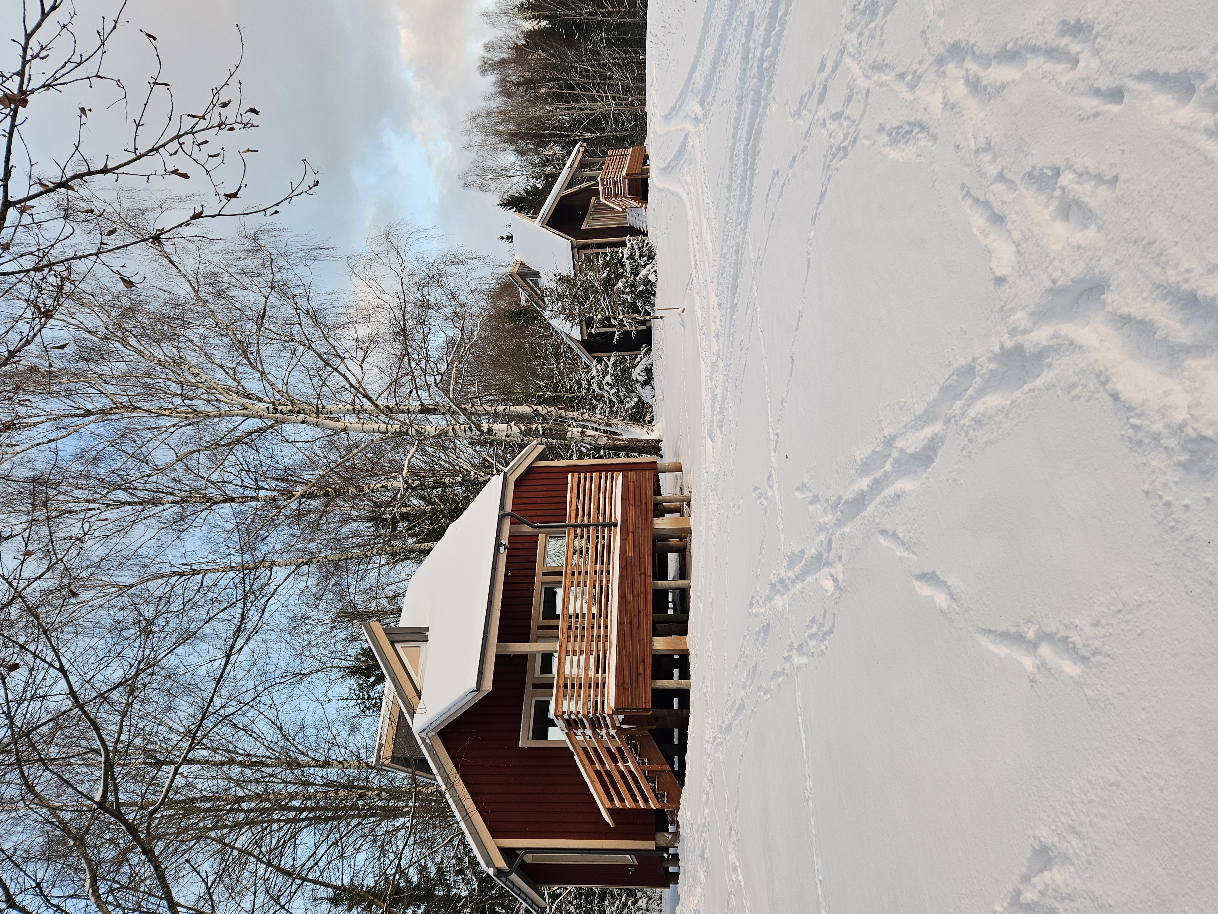 Writer: Ilze Indriksone