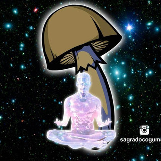 Foto do escritor: Sagrado Cogumelo