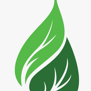 Writer: Chief EcoSity