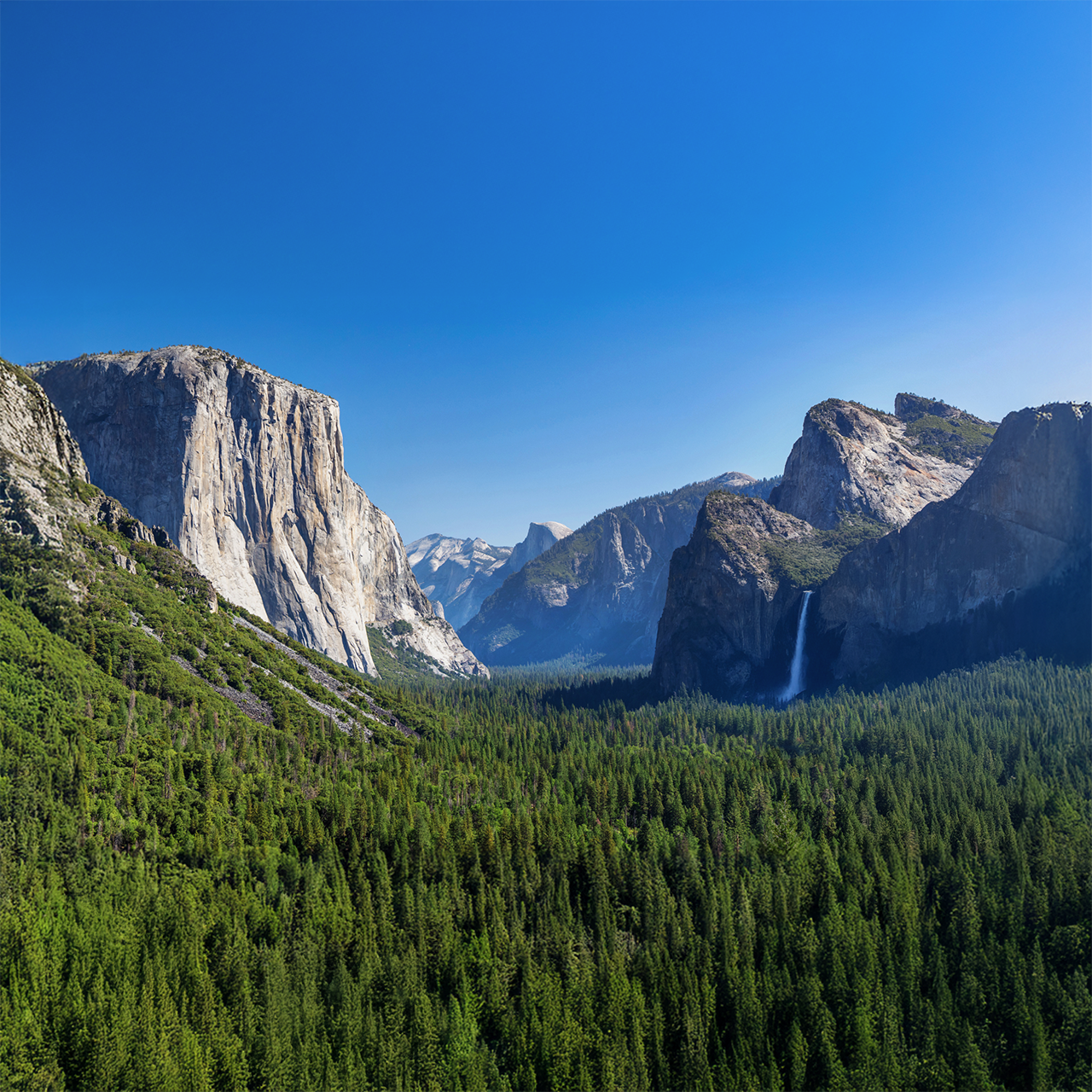 Writer: Naturescapes Studio