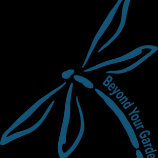 Writer: Debbie Sheridan