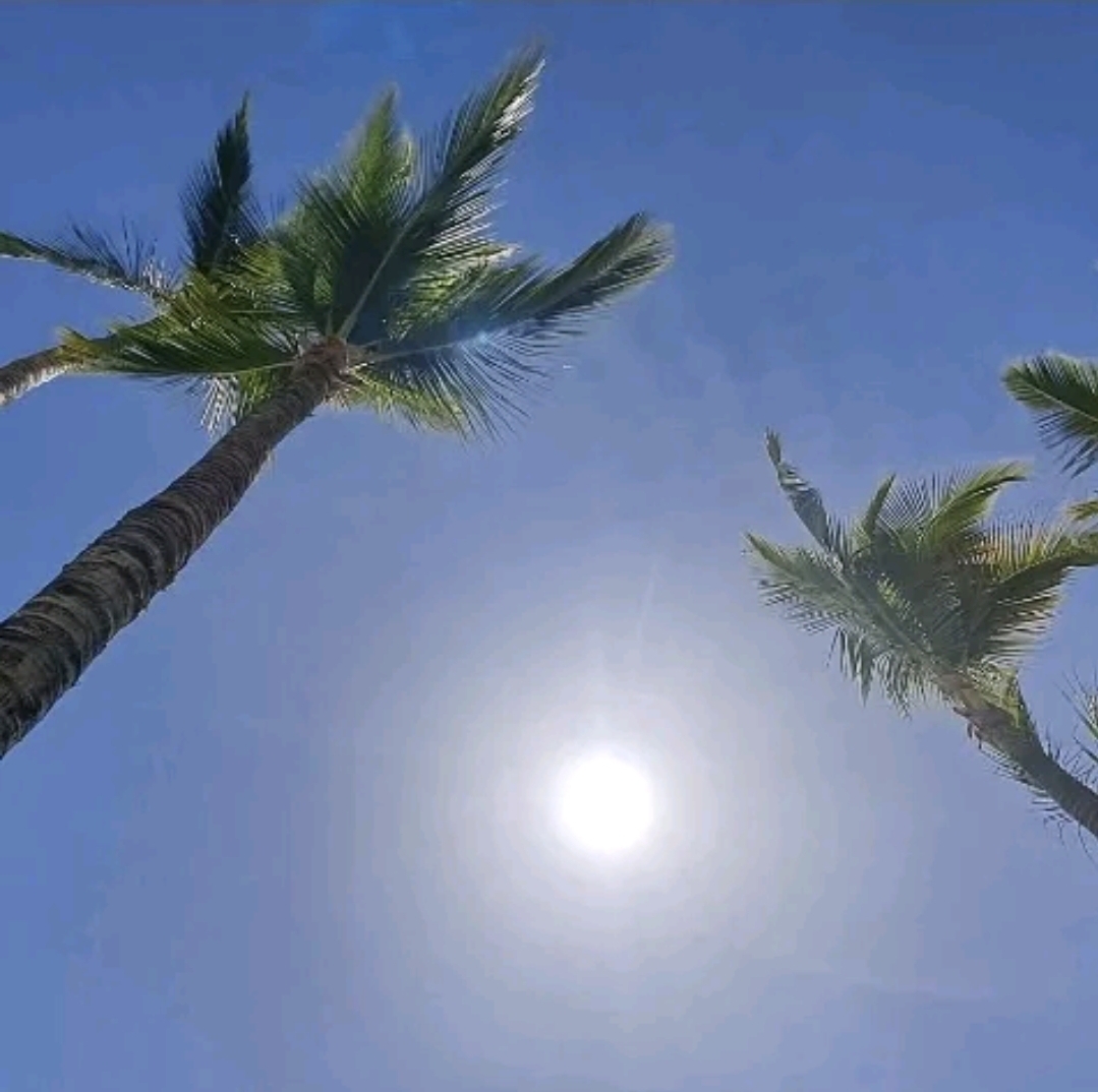 Autorenbild: elleestla5