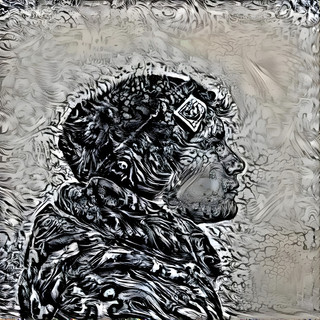 Writer: thomaselliottmedia