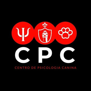 Foto do escritor: Raquel Campo