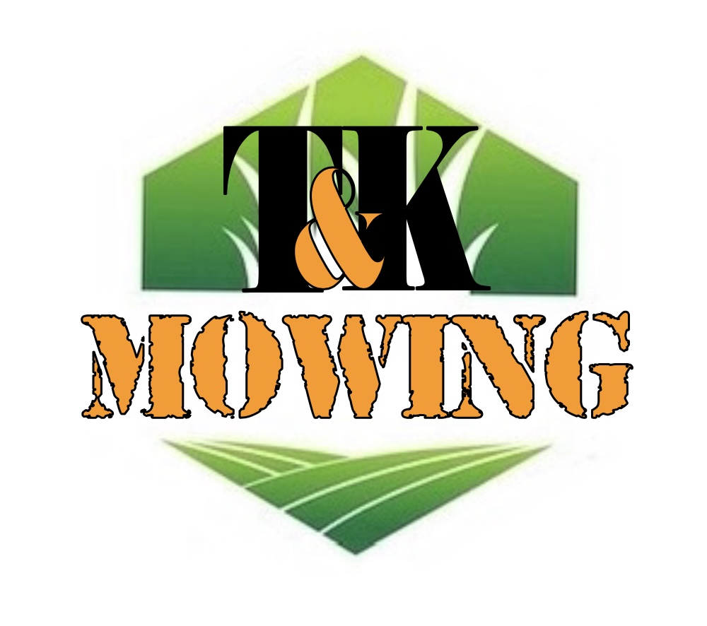 Writer: tnkmowing2023