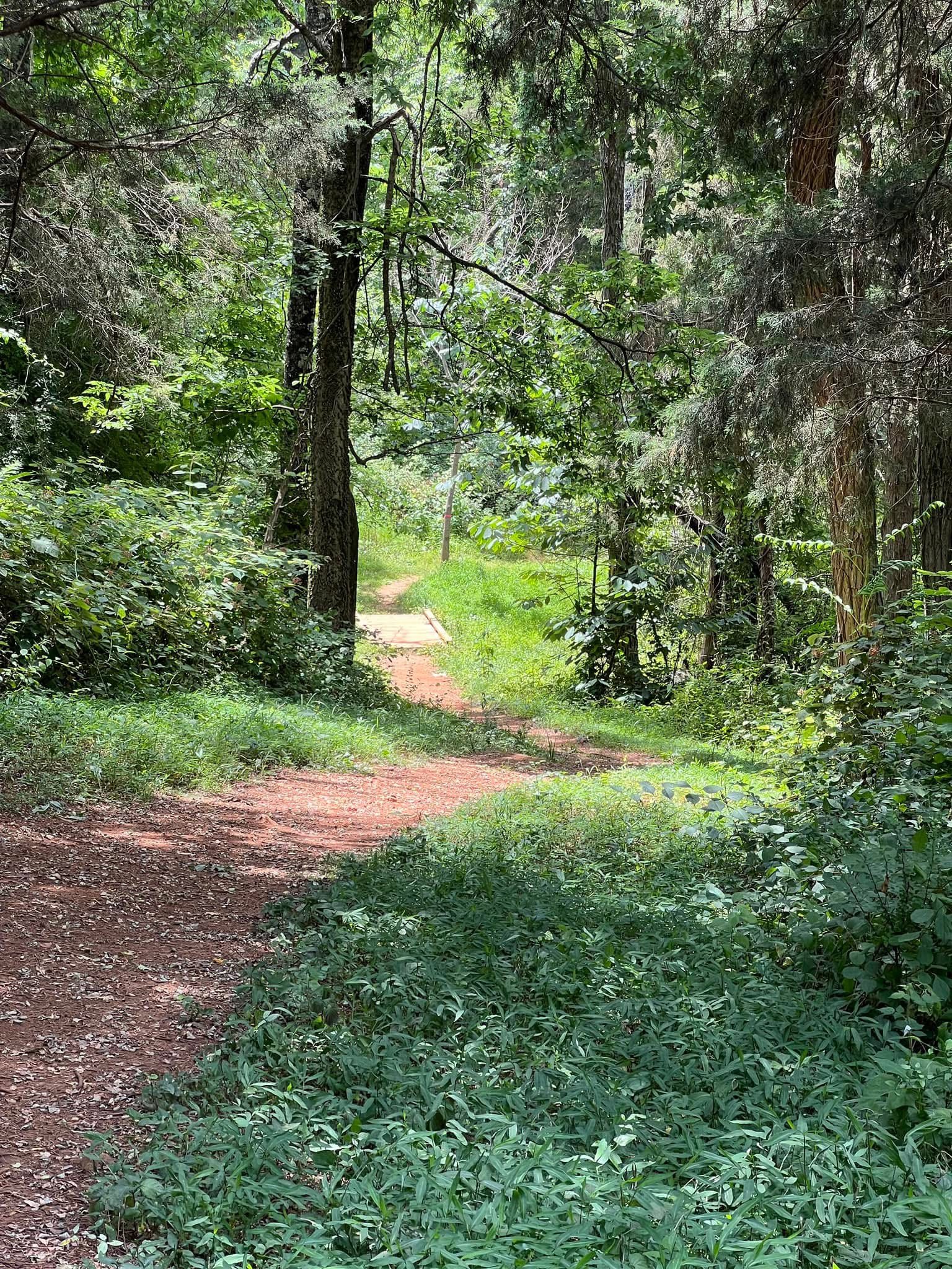 Writer: Dawn Michele