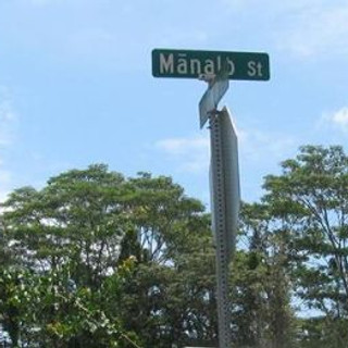 Writer: manalohawaii