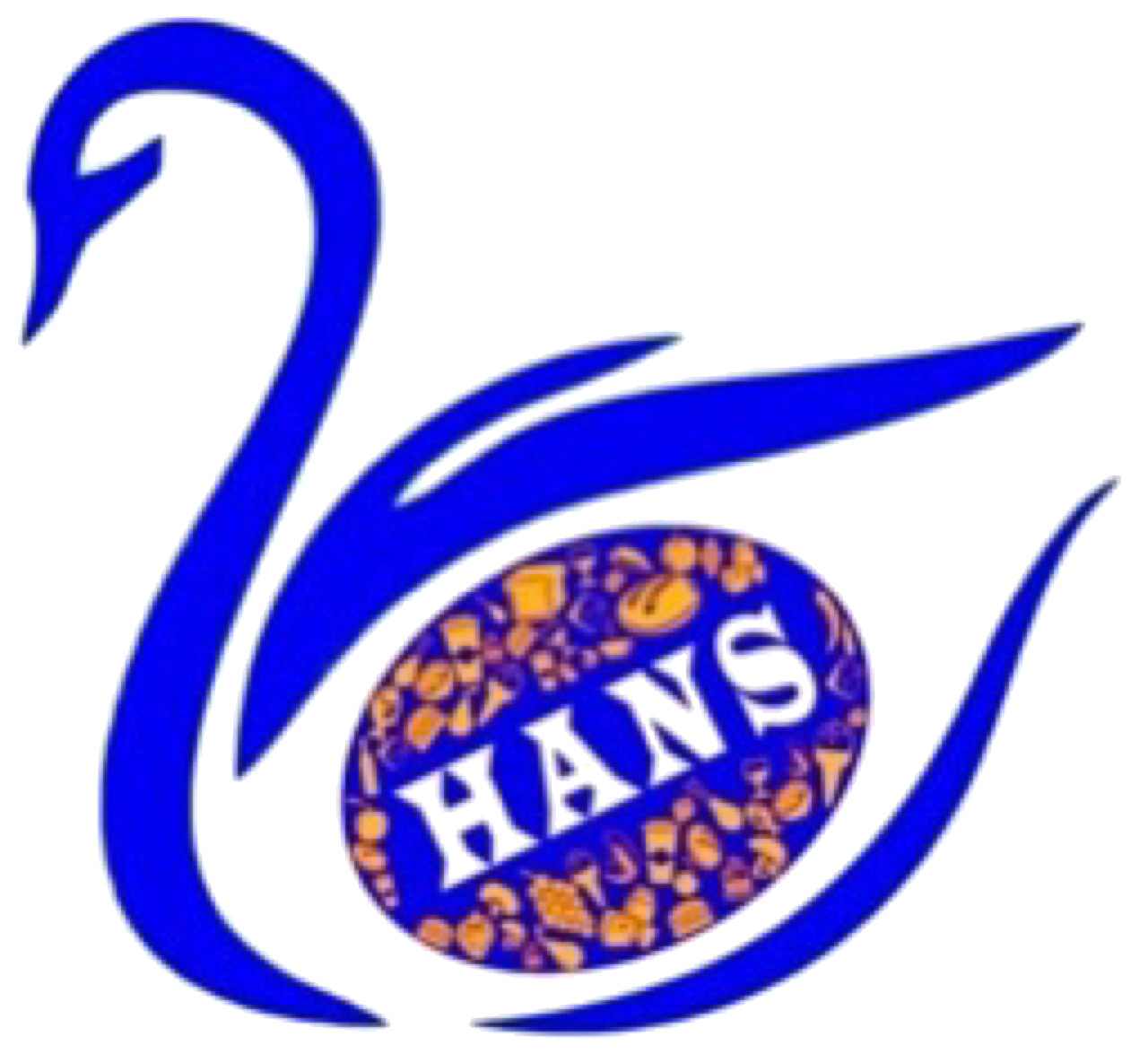 Writer: HANS IT Team