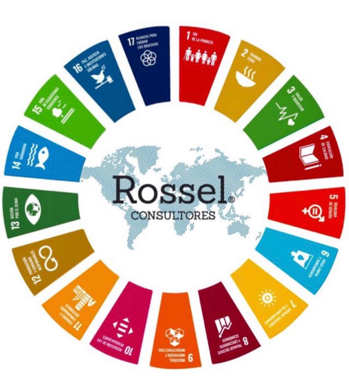 Foto del escritor: Rossel Consultores