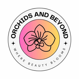 Writer: Raluca  Georgia 