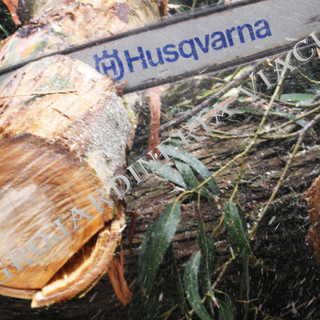 Foto del escritor: AGROJARDINERIA VIACUN S.A.S