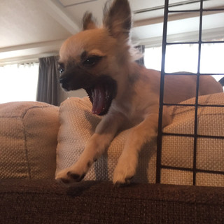 執筆者の写真: FAINLITA ファインリタ