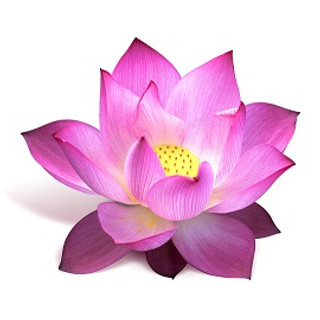 Writer: Shrimath Yoga