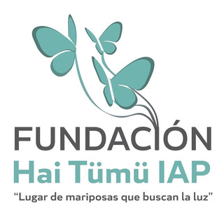 Foto del escritor: Fundación Hai Tümü IAP