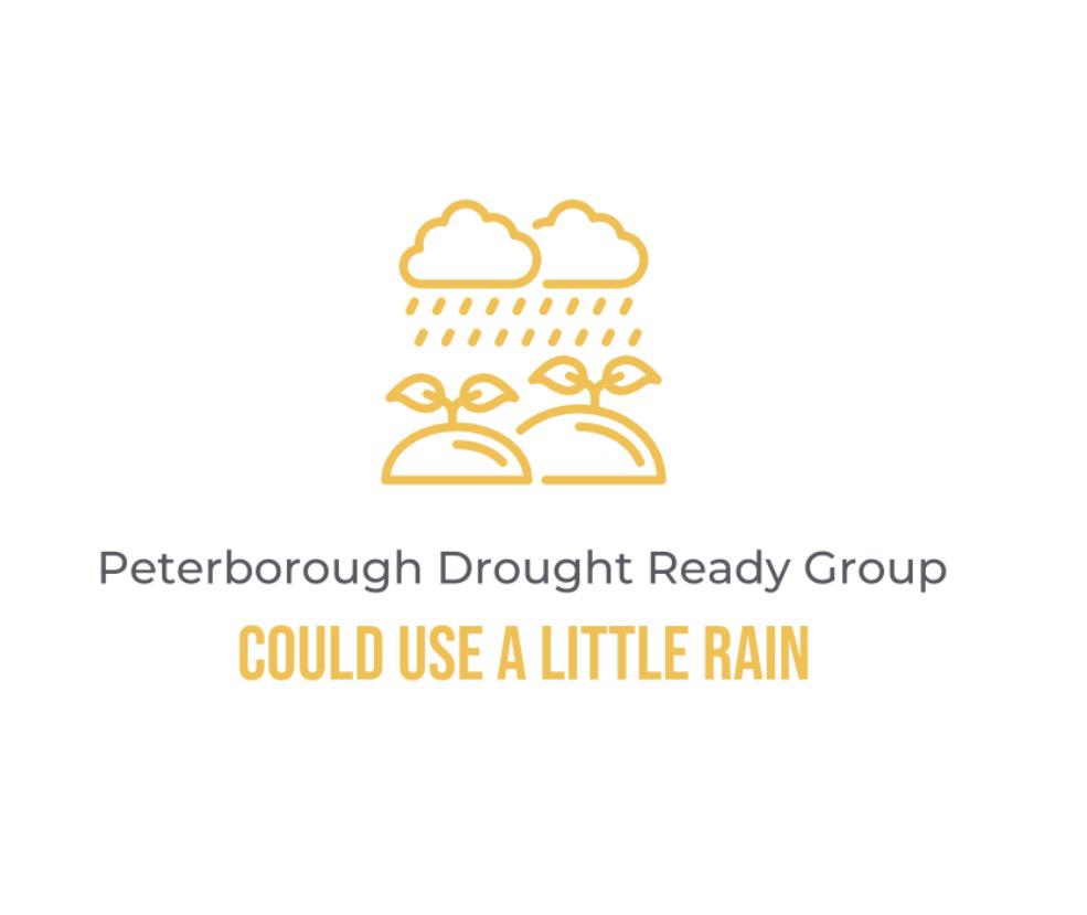 Writer: Peterborough Drough Ready Group