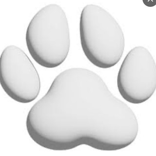 執筆者の写真: japanpettaxi