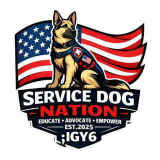 Writer: Darci Escandon