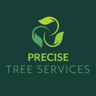Writer: Precise Tree  Services