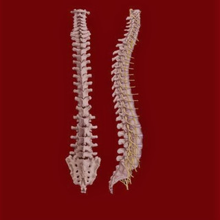 Writer: neuroscienceofdance