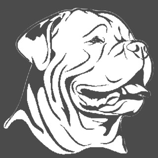 Autorenbild: Hunde-Ernährung