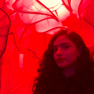 Writer: Gianella Sotomayor