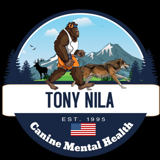Writer: Tony Nila
