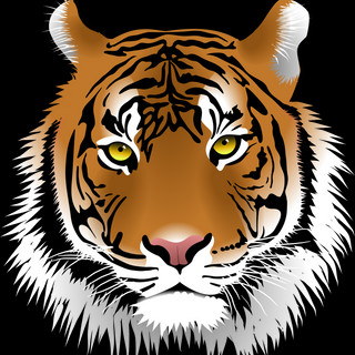 Writer: Mitchell High School Alumni Association