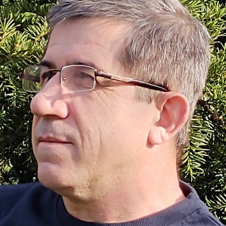 Writer: Liviu Bora