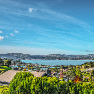 Writer: Lisa Monticelli