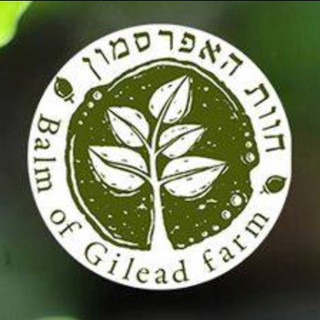 תמונת הסופר/ת: Balm of Gilead farm