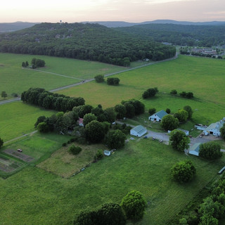 Writer: Allison England