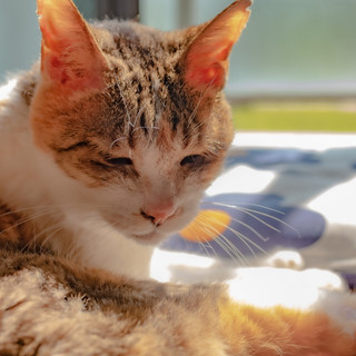 執筆者の写真: h m