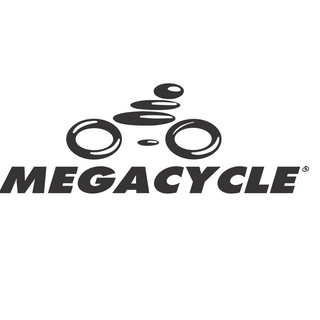 Foto do escritor: producaomegacycle1