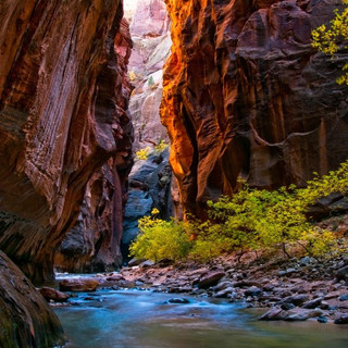 執筆者の写真: Allen Josh