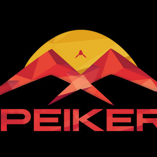 Foto do escritor: Peiker Global