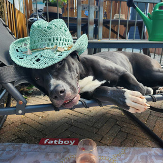 Writer: Dani Lemonade